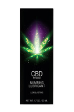 Lubrifiant anesthésiant CBD Infused 50ml