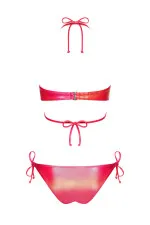 Bikini sexy brillant