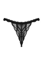 String ouvert Sedila