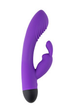 Virgite Vibes V6, vibromasseur Rabbit Point G