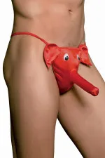 String éléphant cache sexe pour homme