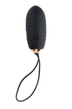 Egg G4, œuf vibrant télécommande sans fil Black Edition