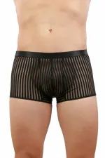 Boxer transparent à rayures