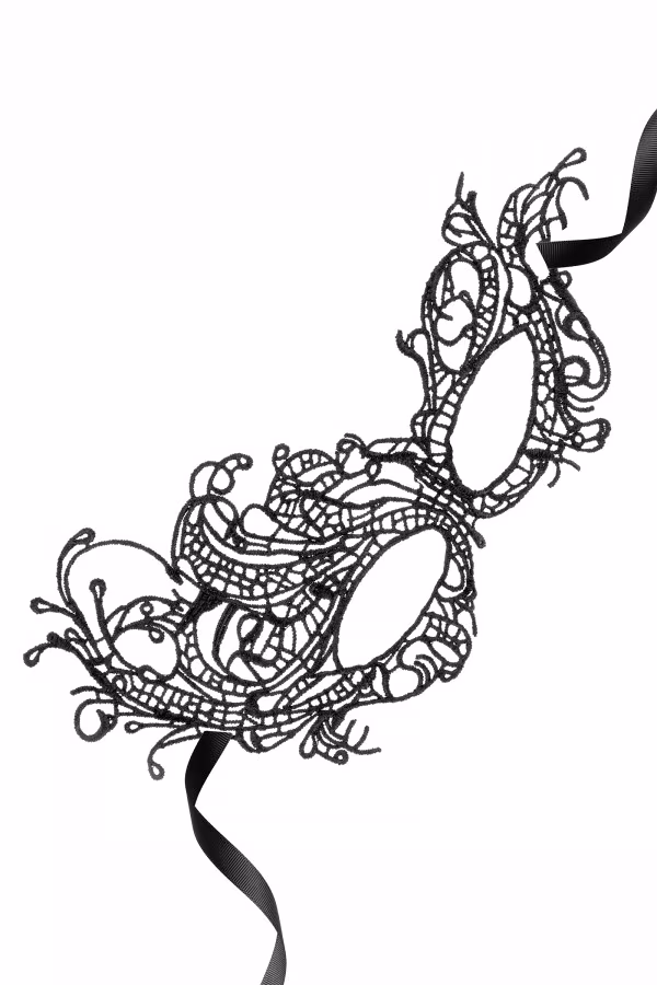 Loup sexy de soirée en dentelle brodée