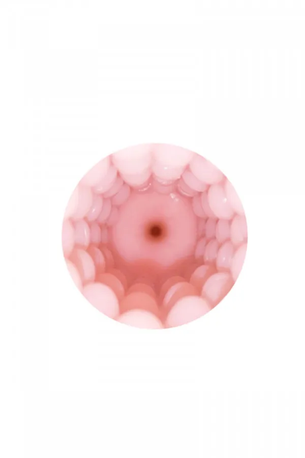 Vagin réaliste pour masturbateur Lovense