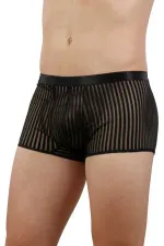 Boxer transparent à rayures