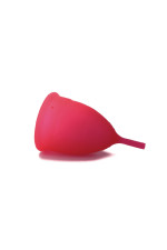Cup menstruelle Intimichic