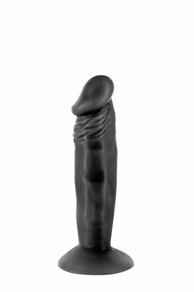 Gode réaliste à ventouse de 16cm Real Body