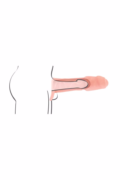 Gaine de pénis avec tête pleine