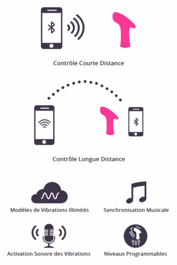 Stimulateur de clitoris : stimulateur vibrant clitoridien USB programmable par téléphone