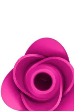 Satisfyer Pro 2 Modern Blossom, stimulateur de clitoris