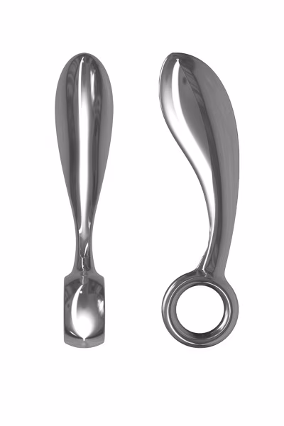 Plug anal de luxe en argent Earl de LELO