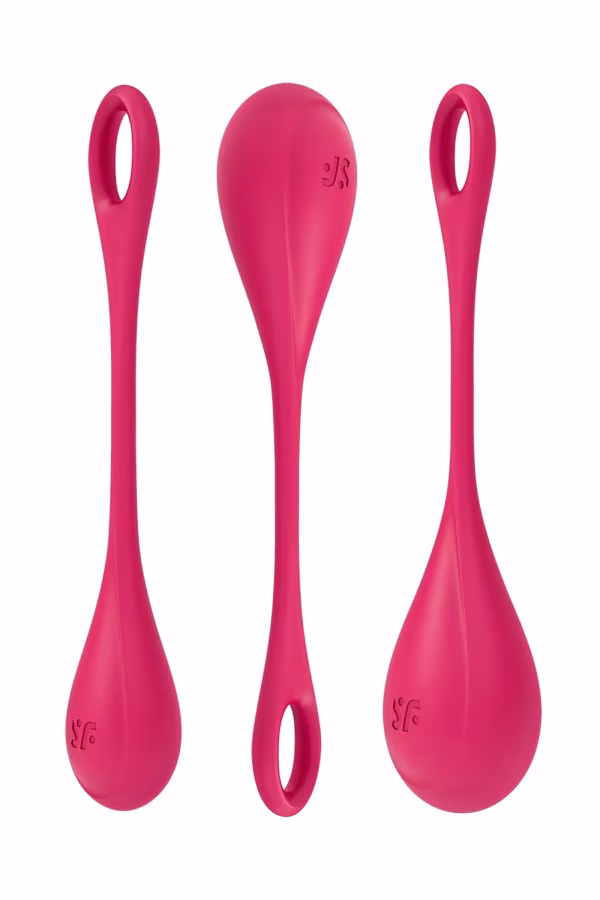 Satisfyer Yoni Power 1 pas cher