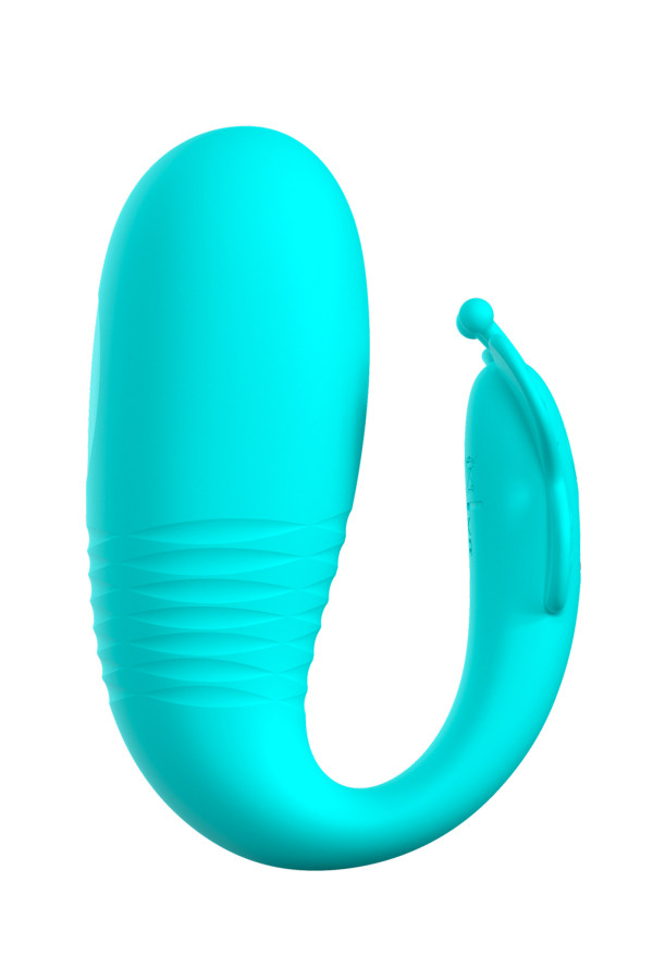 Œuf vibrant va-et-vient télécommandé Remi