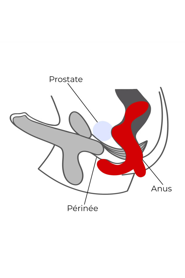 Sextoys stimulateur de prostate 5 vitesses
