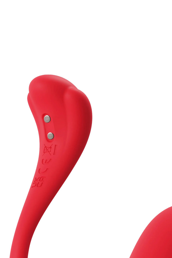 Phoenix Neo 2, œuf vibrant connecté