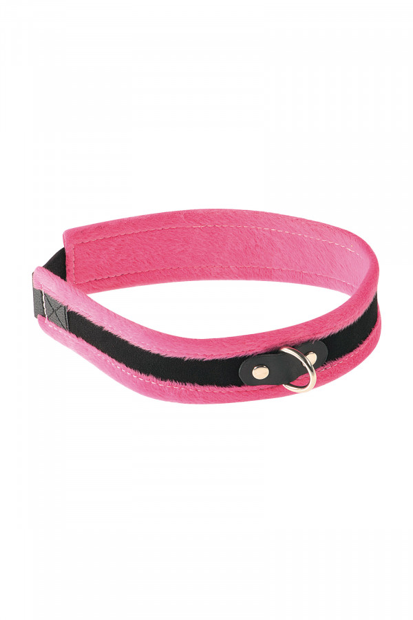 Collier velours fermeture velcro