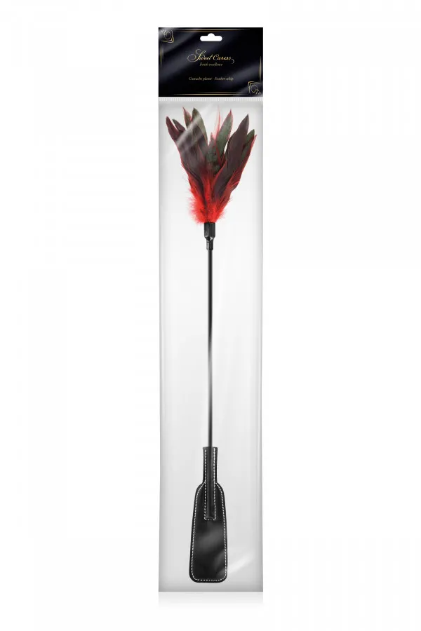 Cravache bdsm avec plumes colorées