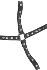 Harnais de poitrine sexy BDSM pour femme