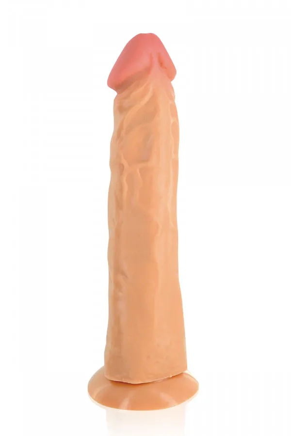Gode Ventouse Réaliste 21.5cm - Achat en Ligne | Concorde Love