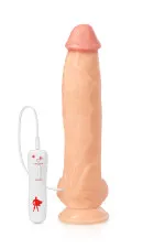 The Power, gode ultra réaliste XXL vibrant avec ventouse 31cm