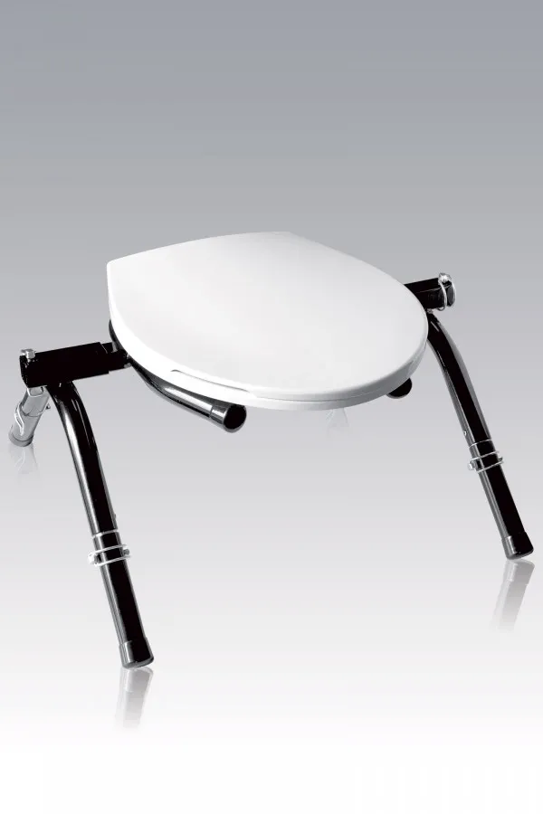 Siège Sanitaire pour Donjon - Confort et Hygiène