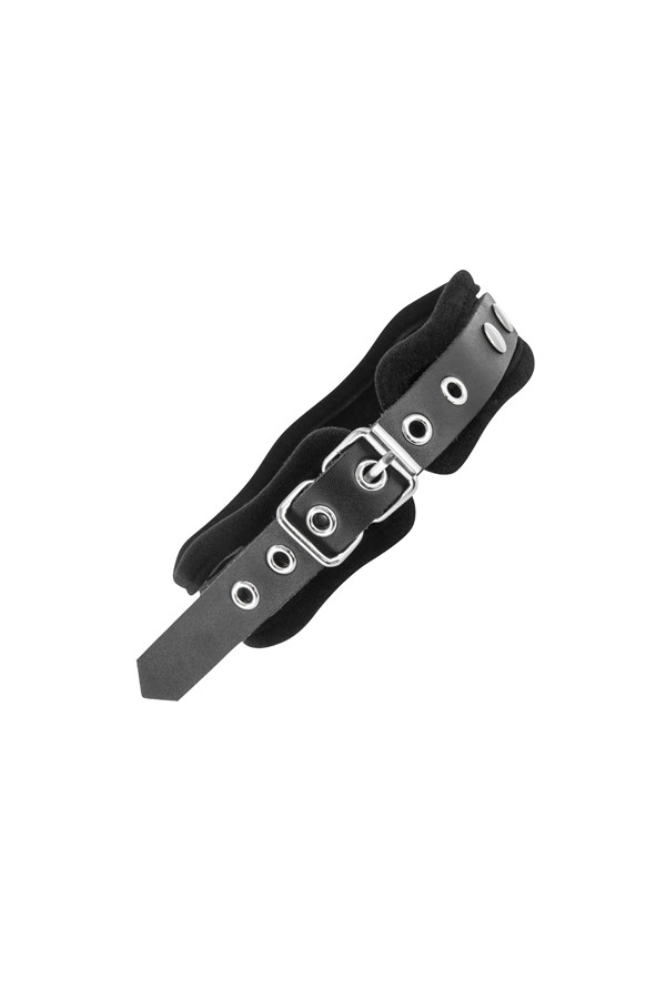 Collier à Clou et Strass avec Laisse - Concorde Love