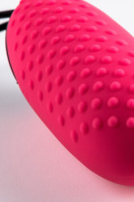 Eggs G4, œuf vibrant à picots et télécommande sans fil