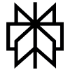 Logo Perplexity